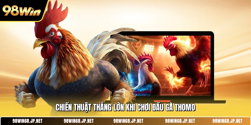 Chiến thuật thắng lớn khi chơi đấu gà Thomo