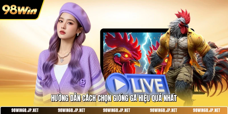 Hướng dẫn cách chọn giống gà hiệu quả nhất