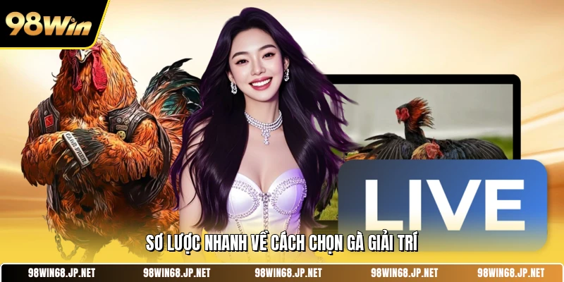 Sơ lược nhanh về cách chọn gà giải trí